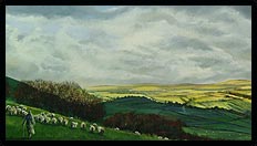 The Mochdre Hills | Brian Jones - Landscape and Still Life Artist based in Mid Wales