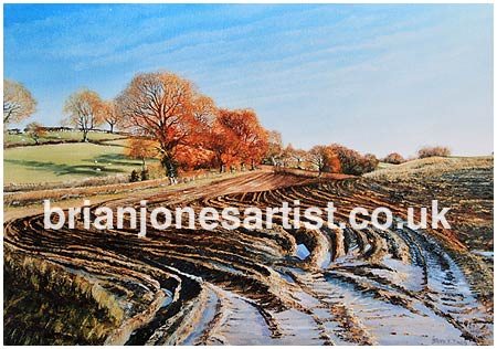 Gallery of paintings by Brian jones, Landscapes and Still Life