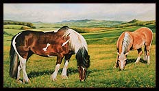 Brian Jones - Landscape and Still Life Artist based in Mid Wales